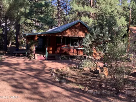 2841 Timber Trail Loop, Overgaard, AZ 85933 photo 2
