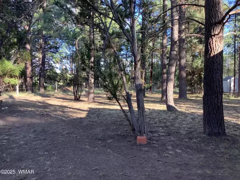 2841 Timber Trail Loop, Overgaard, AZ 85933 photo 22