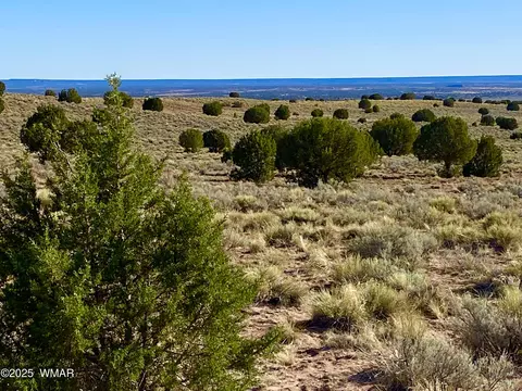River Meadows Ranch Unit 3 Lot 204, Concho, AZ 85924