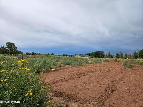 tbd Caldwell Canyon Rd, Snowflake, AZ 85937