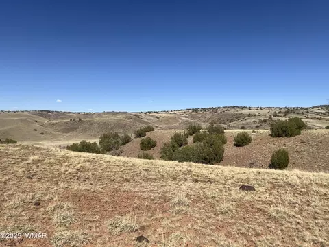 tbd County Road N5335, Concho, AZ 85924