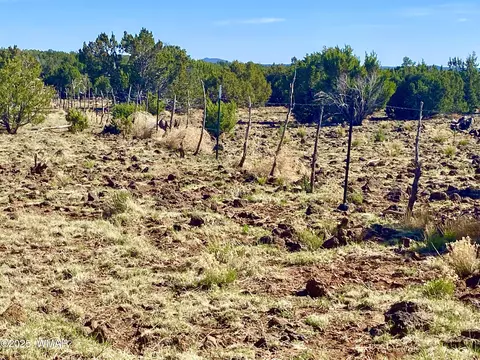 tbd Pioneer Trail 10 Acres, Show Low, AZ 85901