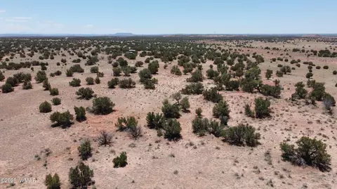 tbd Rio Rnch, Concho, AZ 85924 photo 39