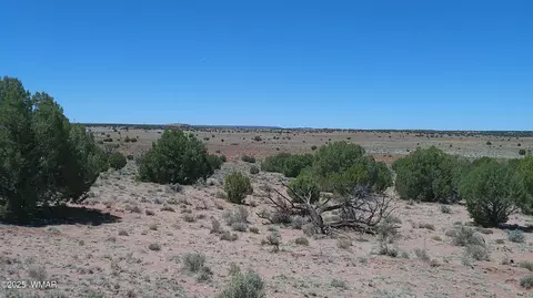 tbd Rio Rnch, Concho, AZ 85924 photo 17