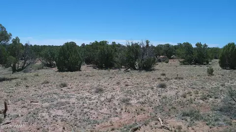 tbd Rio Rnch, Concho, AZ 85924 photo 23