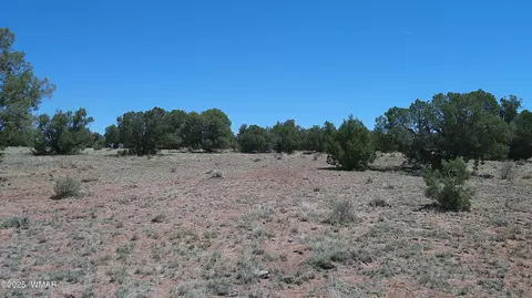 tbd Rio Rnch, Concho, AZ 85924 photo 9