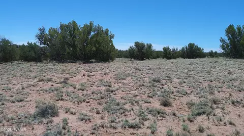 tbd Rio Rnch, Concho, AZ 85924 photo 29