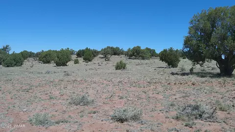 tbd Rio Rnch, Concho, AZ 85924 photo 8
