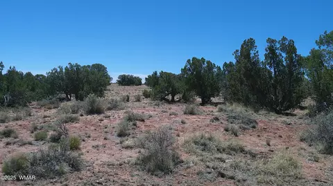 tbd Rio Rnch, Concho, AZ 85924 photo 24