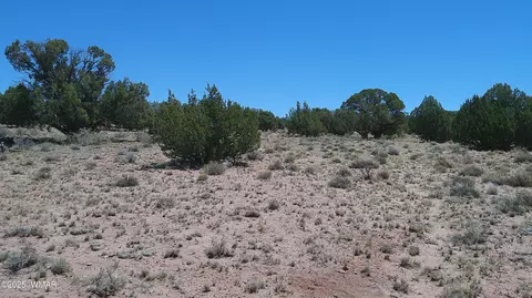 tbd Rio Rnch, Concho, AZ 85924 photo 16