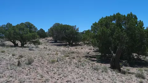 tbd Rio Rnch, Concho, AZ 85924 photo 18