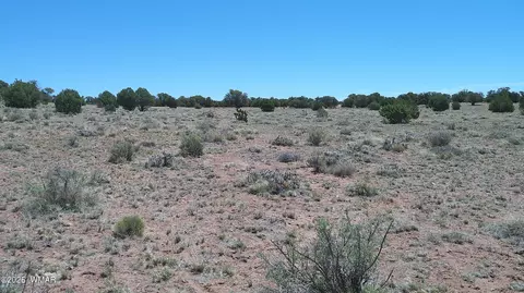 tbd Rio Rnch, Concho, AZ 85924 photo 12