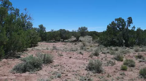 tbd Rio Rnch, Concho, AZ 85924 photo 25
