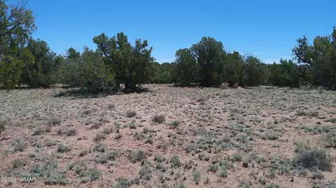 tbd Rio Rnch, Concho, AZ 85924