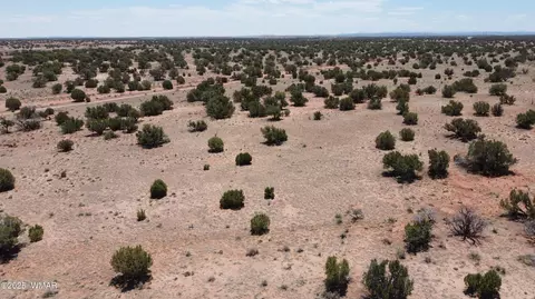 tbd Rio Rnch, Concho, AZ 85924 photo 38