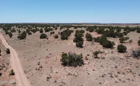 tbd Rio Rnch, Concho, AZ 85924 photo 35