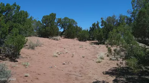 tbd Rio Rnch, Concho, AZ 85924 photo 20