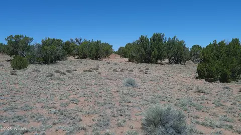 tbd Rio Rnch, Concho, AZ 85924 photo 3