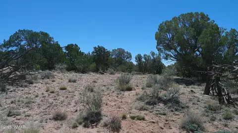 tbd Rio Rnch, Concho, AZ 85924 photo 19