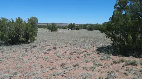 tbd Rio Rnch, Concho, AZ 85924 photo 28