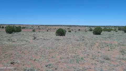 tbd Rio Rnch, Concho, AZ 85924 photo 10