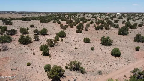 tbd Rio Rnch, Concho, AZ 85924 photo 33