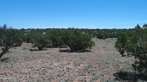 tbd Rio Rnch, Concho, AZ 85924 photo 7