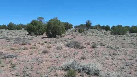 tbd Rio Rnch, Concho, AZ 85924 photo 13