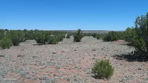 tbd Rio Rnch, Concho, AZ 85924 photo 6