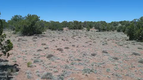 tbd Rio Rnch, Concho, AZ 85924 photo 27