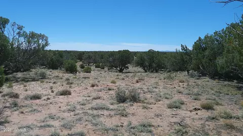 tbd Rio Rnch, Concho, AZ 85924 photo 22