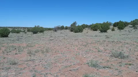 tbd Rio Rnch, Concho, AZ 85924 photo 11