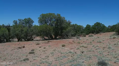 tbd Rio Rnch, Concho, AZ 85924 photo 21