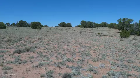 tbd Rio Rnch, Concho, AZ 85924 photo 4