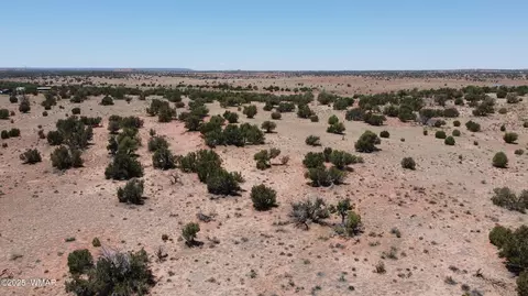 tbd Rio Rnch, Concho, AZ 85924 photo 37