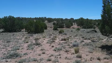 tbd Rio Rnch, Concho, AZ 85924 photo 5
