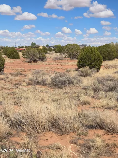 4 02 Dewitt, Snowflake, AZ 85937 photo 2