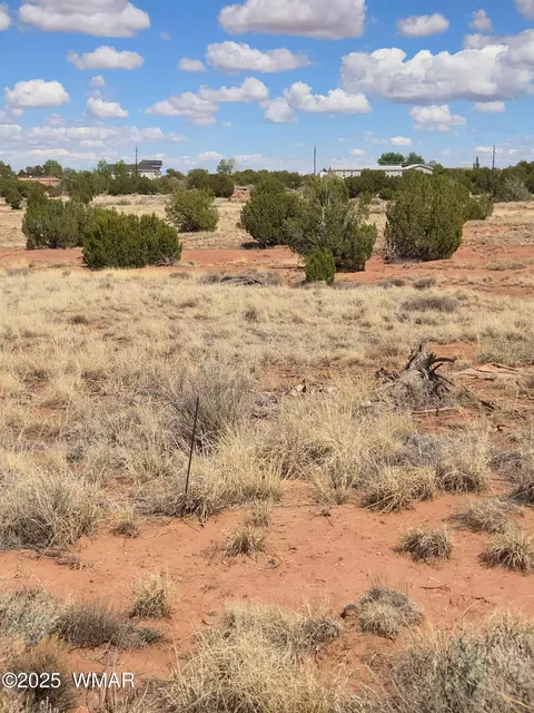 4 02 Dewitt, Snowflake, AZ 85937
