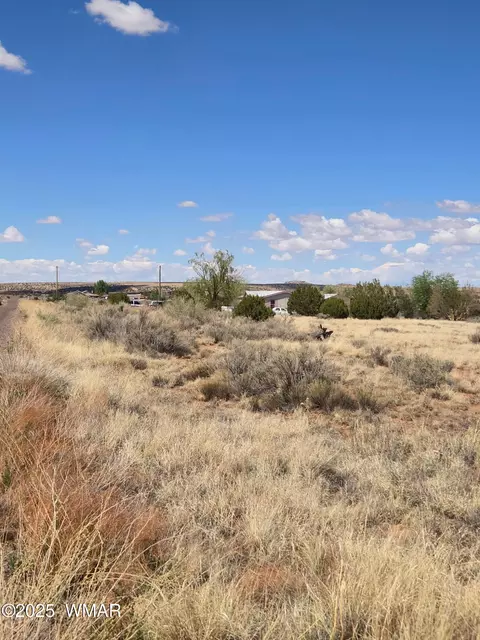 4 02 Dewitt, Snowflake, AZ 85937 photo 3