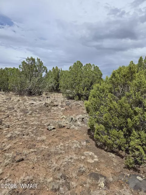 8770 Supancheck Rd, Show Low, AZ 85901