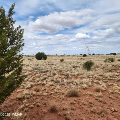 5506 Glasgow Dr, Snowflake, AZ 85937