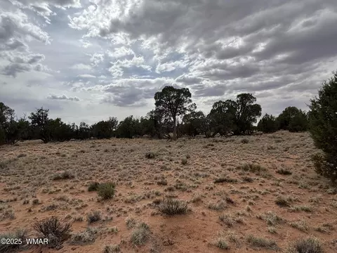 tbd N5505, Concho, AZ 85924