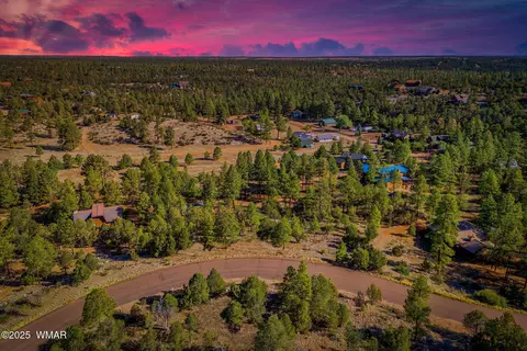 2794 Skyhawk Dr, Overgaard, AZ 85933