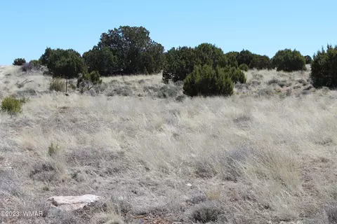 80 County Road 8620, Concho, AZ 85924