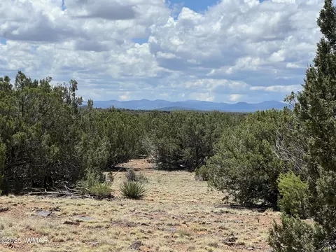 lot64 County Round 3193, Vernon, AZ 85940