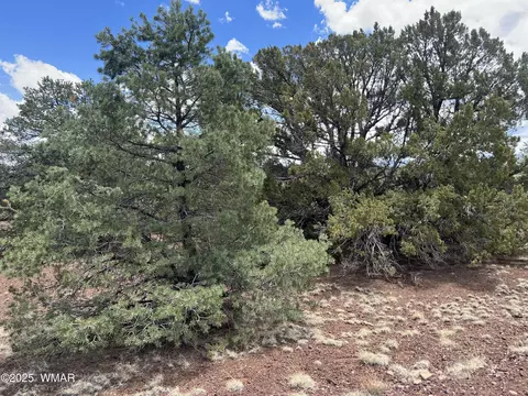 lot72 County Road 3193, Vernon, AZ 85940