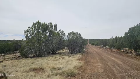tbd Cr 8065, Concho, AZ 85924 photo 1