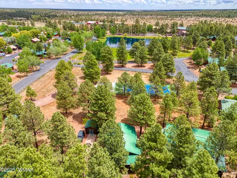 View/Area - 2706 Palomino Trl, Overgaard, AZ 85933 photo 3 of 3