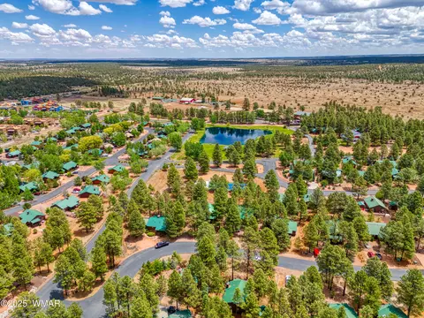 View/Area - 2706 Palomino Trl, Overgaard, AZ 85933 photo 1 of 3