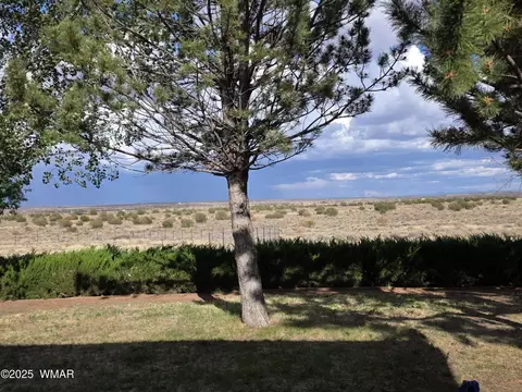 Exterior - 2596 E 6th Sundown Ln, Snowflake, AZ 85937 photo 5 of 16